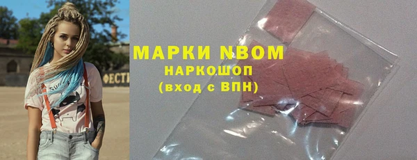 гидра Абаза