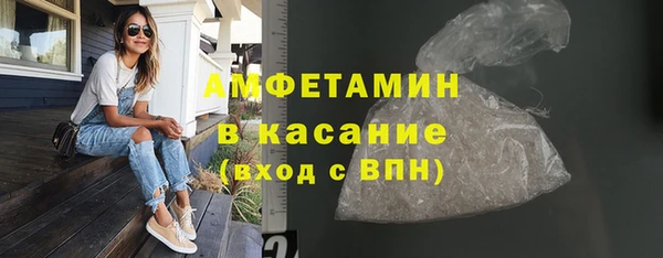гидра Абаза