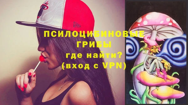 ешки Алзамай