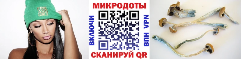 Галлюциногенные грибы Psilocybine cubensis  купить закладку  Инсар 
